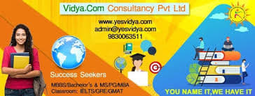 Vidya.Com Consultancy Vidya.Com Consultancy photo 3